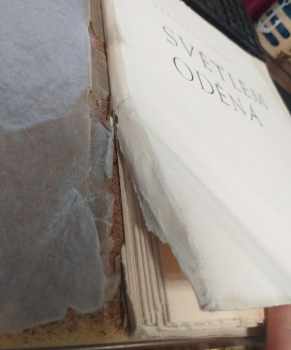 Jaroslav Seifert: Světlem oděná