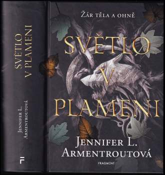 Světlo v plameni