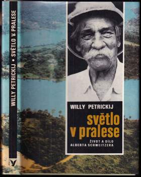 Světlo v pralese