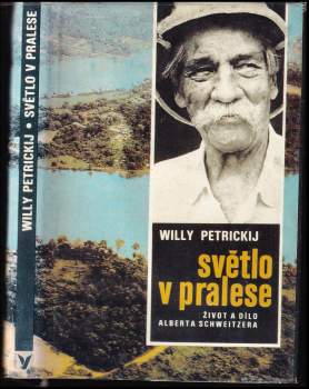 Světlo v pralese