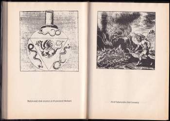 Ivo Wiesner: Světlo z dávných věků