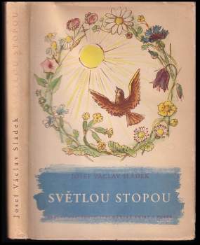 Světlou stopou