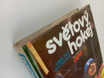Gustav Vlk: Světový hokej