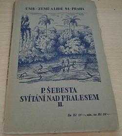 Pavel Šebesta: Svítání nad pralesem