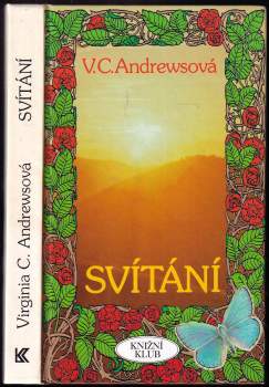 Svítání