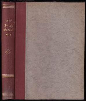 Svitek březové kůry