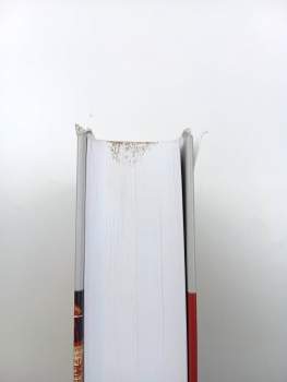 Pavel Ambros: Svoboda k alternativám