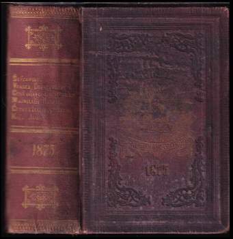 Karel Adámek: Čechy a Italie v století XIV