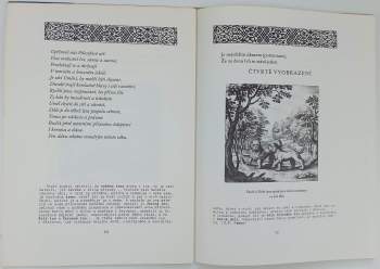 Vladislav Zadrobílek: Symbolika alchymie, aneb, O kamenu mudrců