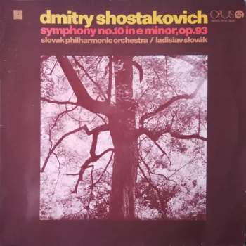 Slovak Philharmonic Orchestra: Symphony No.10 In E Minor,Op.93