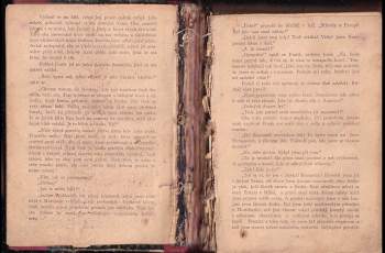 Karl May: Syn lovce medvědů