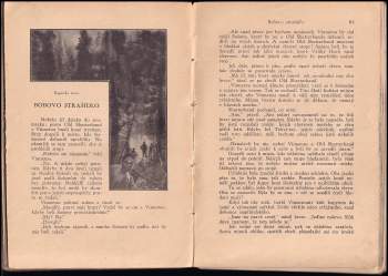 Karl May: Syn lovce medvědů