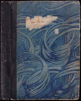 Karl May: Syn lovce medvědů