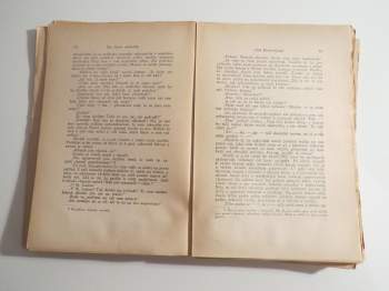 Karl May: Syn lovce medvědů