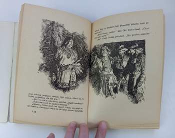 Karl May: Syn lovce medvědů
