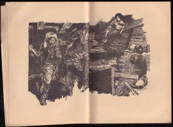 Karl May: Syn lovce medvědů