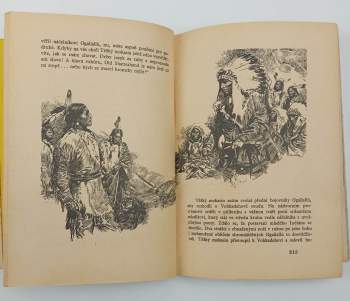 Karl May: Syn lovce medvědů