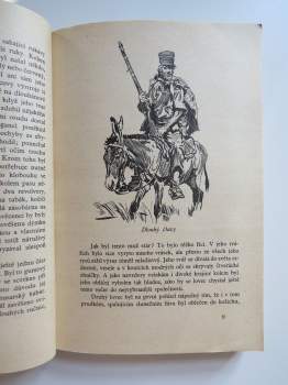 Karl May: Syn lovce medvědů