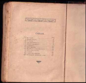 Karl May: Syn lovce medvědů