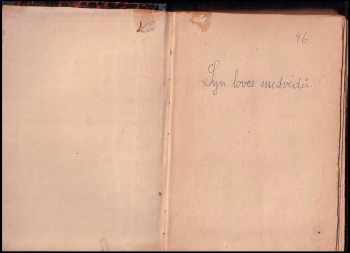 Karl May: Syn lovce medvědů