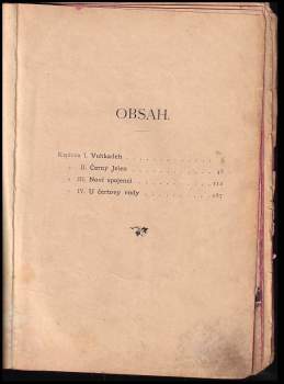 Karl May: Syn lovce medvědův