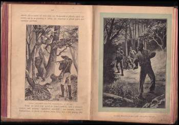 Karl May: Syn lovce medvědův