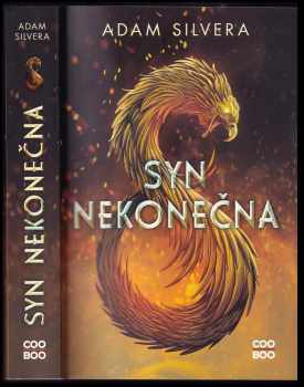 Syn nekonečna