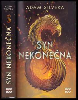 Adam Silvera: Syn nekonečna