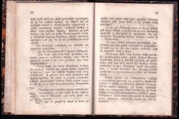 Eduard V. - Merklinský: Syn Palečkův
