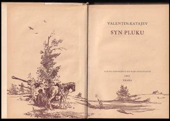 Valentin Petrovič Katajev: Syn pluku