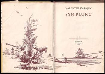 Valentin Petrovič Katajev: Syn pluku