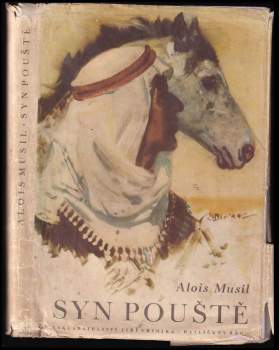 Syn pouště