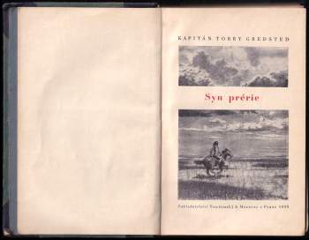 Torry Gredsted: Syn prérie