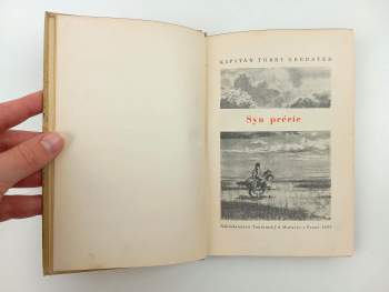 Torry Gredsted: Syn prérie