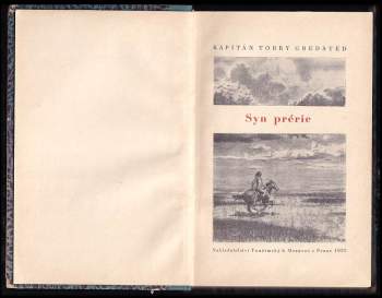 Torry Gredsted: Syn prérie