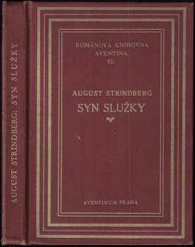 Syn služky