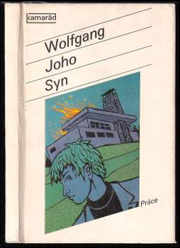 Wolfgang Joho: Syn