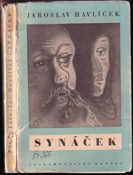 Jaroslav Havlíček: Synáček