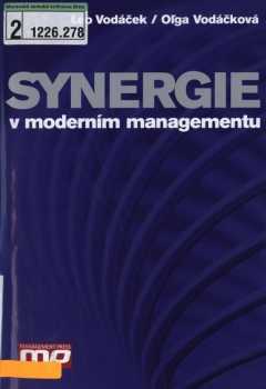 Synergie v moderním managementu