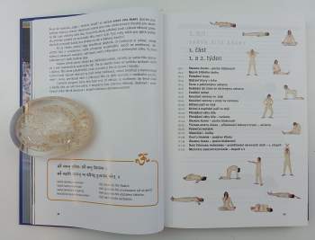 Maheshwarananda: Systém "Jóga v denním životě"