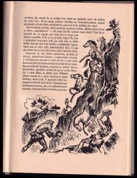 František Běhounek: Tábor v lese