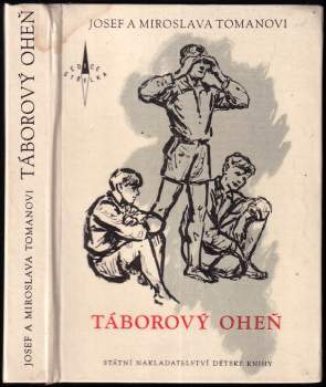 Táborový oheň