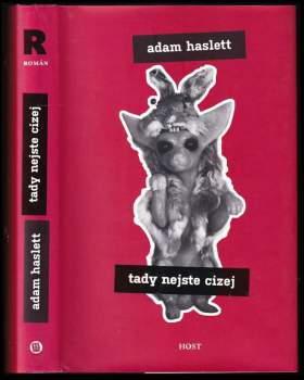 Adam Haslett: Tady nejste cizej