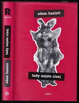 Adam Haslett: Tady nejste cizej