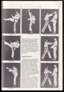 Stanislav Kovařík: Taekwon-do