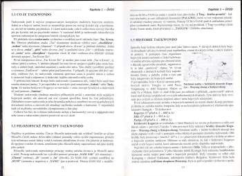 Petr Hulinský: Taekwondo WTF