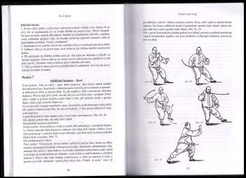 Zdeněk Kurfürst: Tai Ji Quan