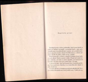 Roger Zelazny: Stín jednorožce - Tajemný Amber 3. díl