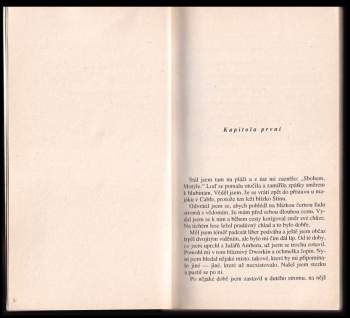 Roger Zelazny: Zbraně Avalonu - Tajemný Amber 2