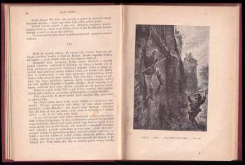 Jules Verne: Tajemný hrad v Karpatech